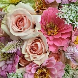 Meet your Posher, Edith